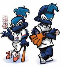 Toronto Blue Jays