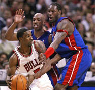 Chicago Bulls