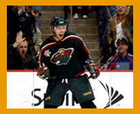 Minnesota Wild