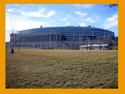 Chicago Bears