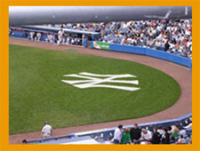 New York Yankees