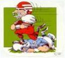 Ohio State Buckeyes