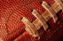 Detroit Lions
