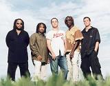 Dave Matthews Band