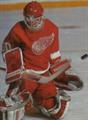 Detroit Red Wings
