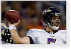Baltimore Ravens